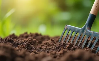 Beete im Frühjahr vorbereiten: Boden, Pflanzplan und Pflege