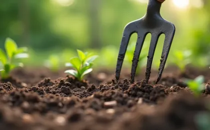 Boden lockern ohne Umgraben: Schonende Methoden für Gartenböden