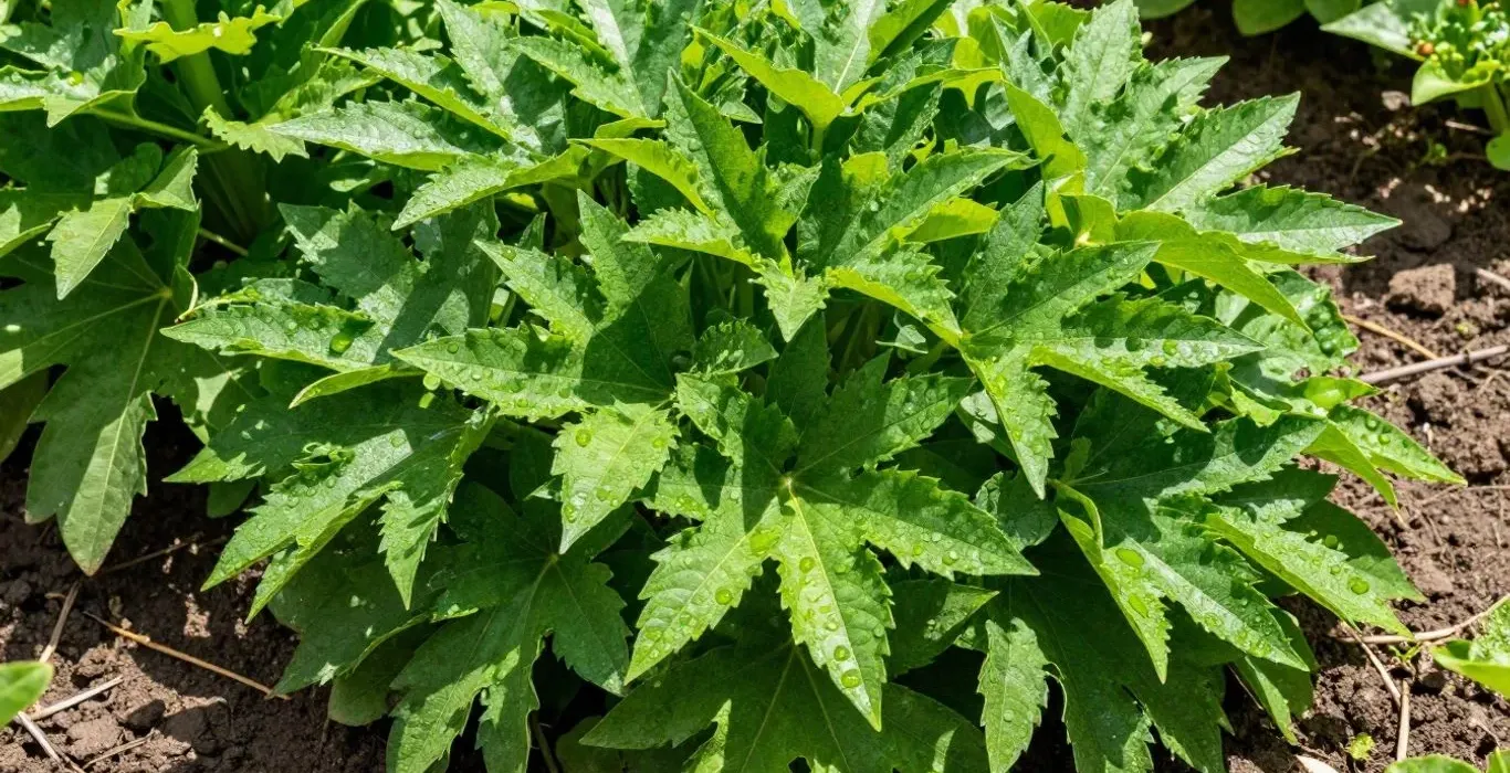 Gießen vergessen!? So überlebt dein Garten auch heiße Wochen ohne Stress