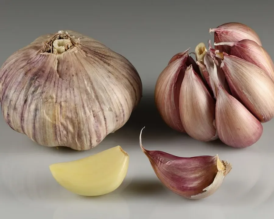 Knoblauch