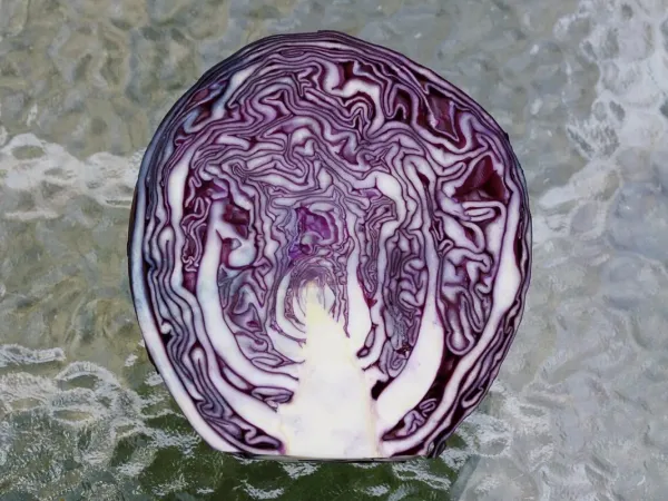 Rotkohl