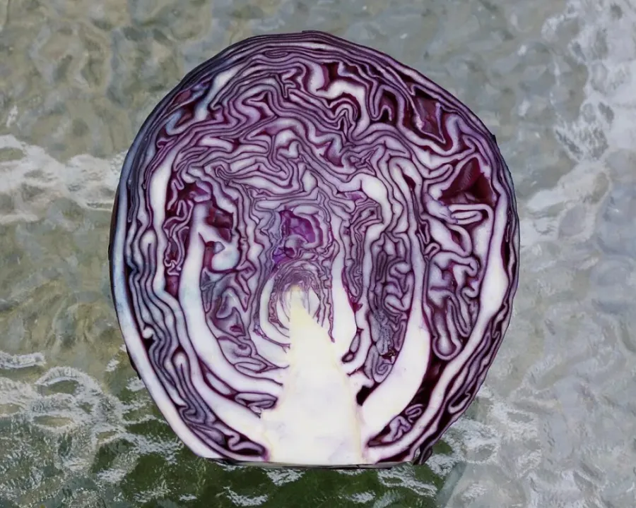 Rotkohl