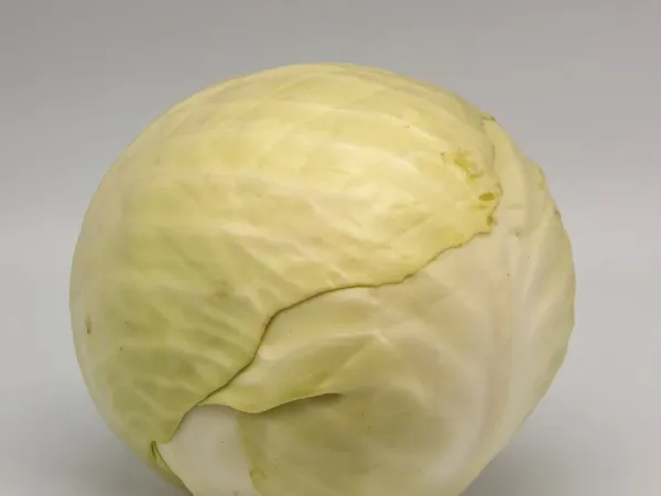 Weißkohl