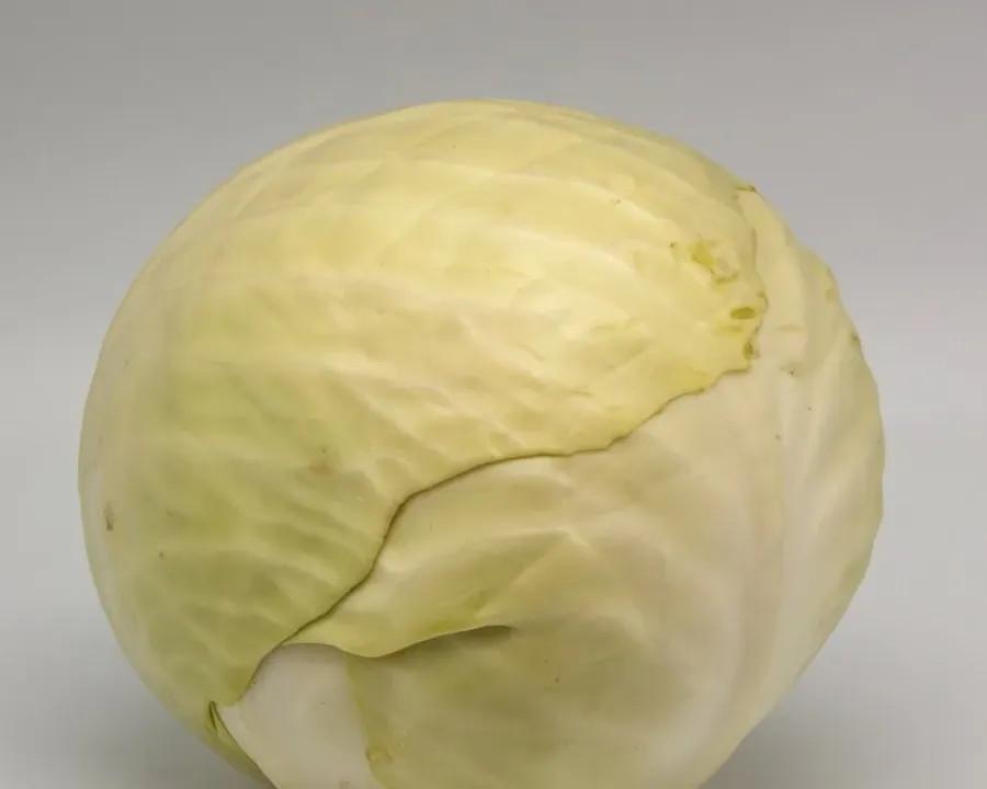 Weißkohl
