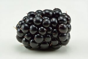 Brombeere
