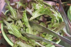 Kopfsalat