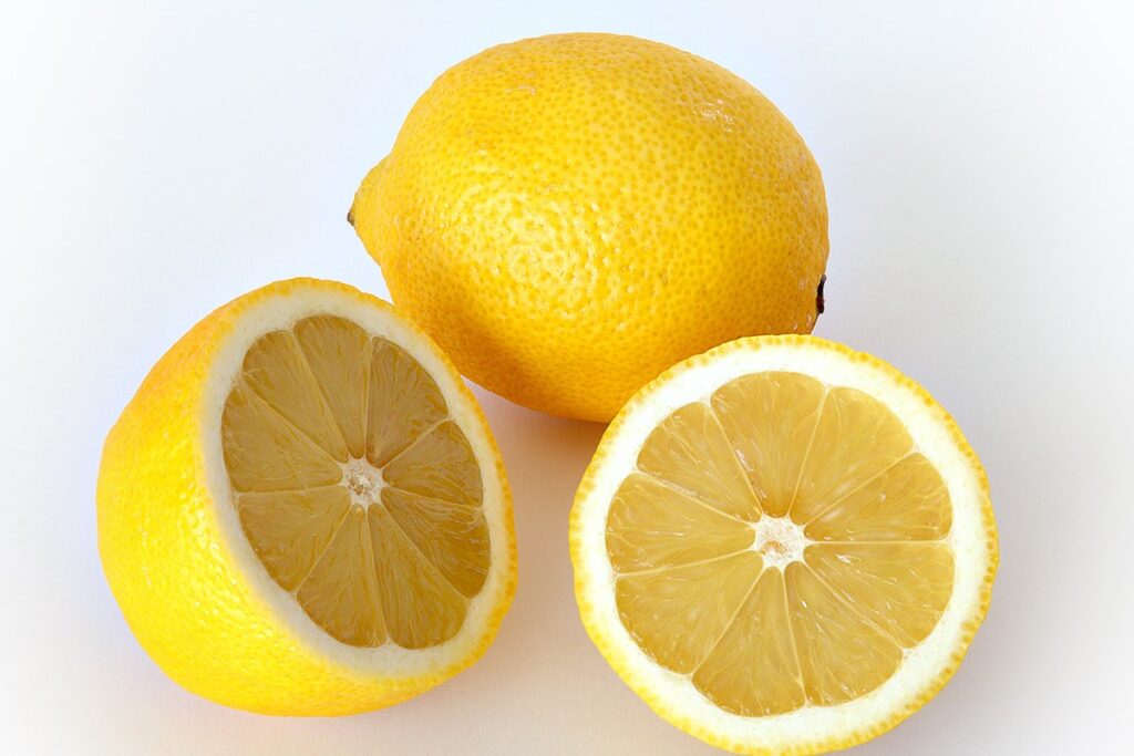 Zitronenbaum (Kübel) (Citrus limon) — Pflanzenfoto