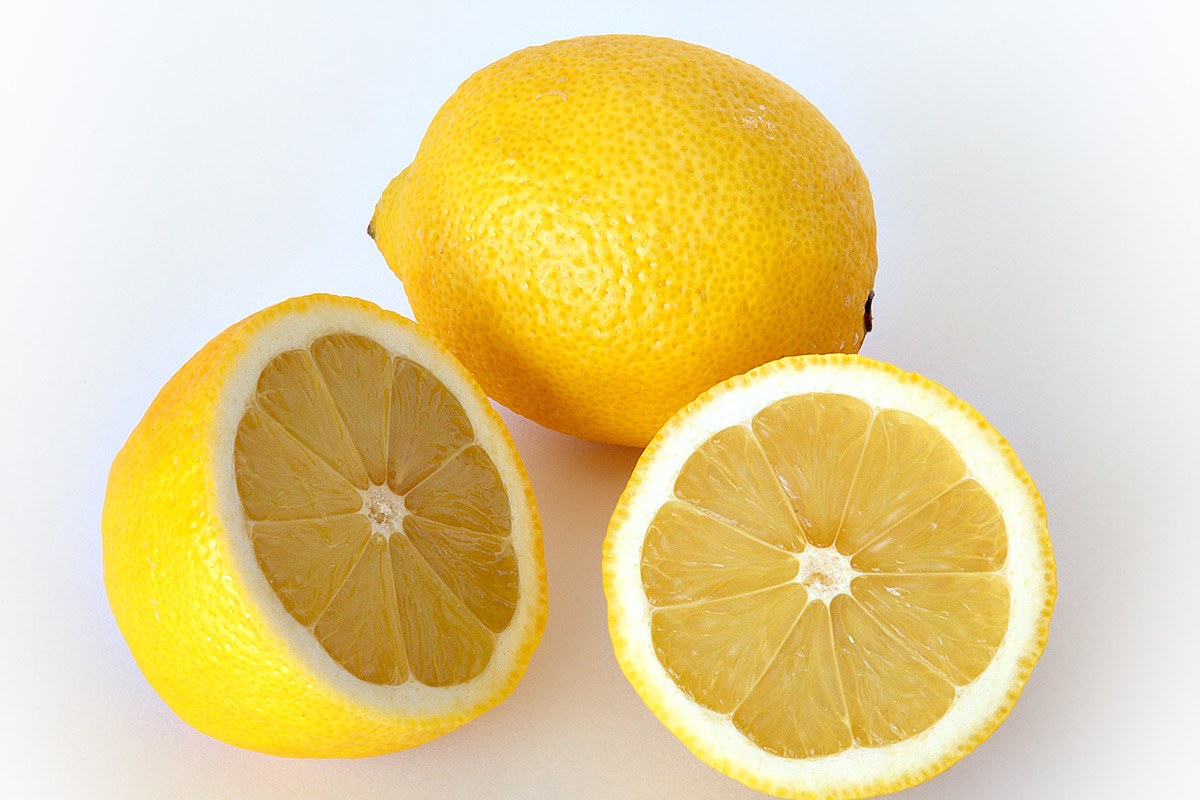 Zitronenbaum (Kübel) (Citrus limon) — Pflanzenfoto